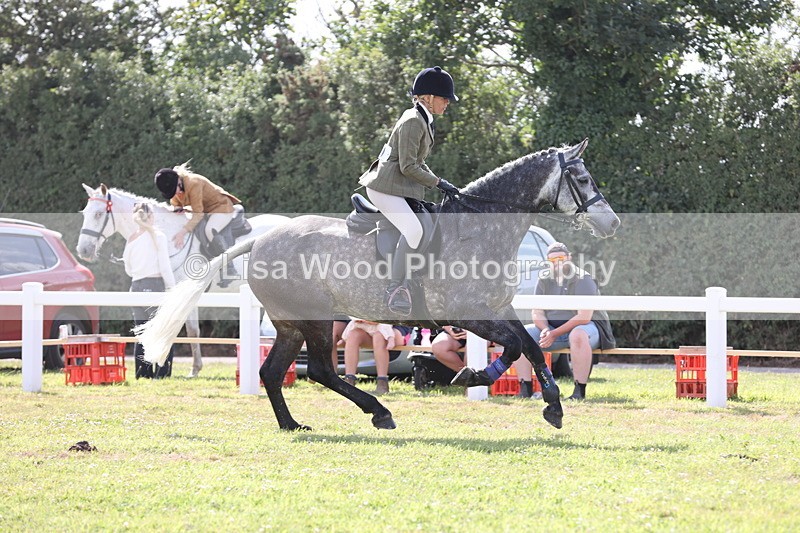 JPP_2611 - Class 20: Working Hunter 70cm