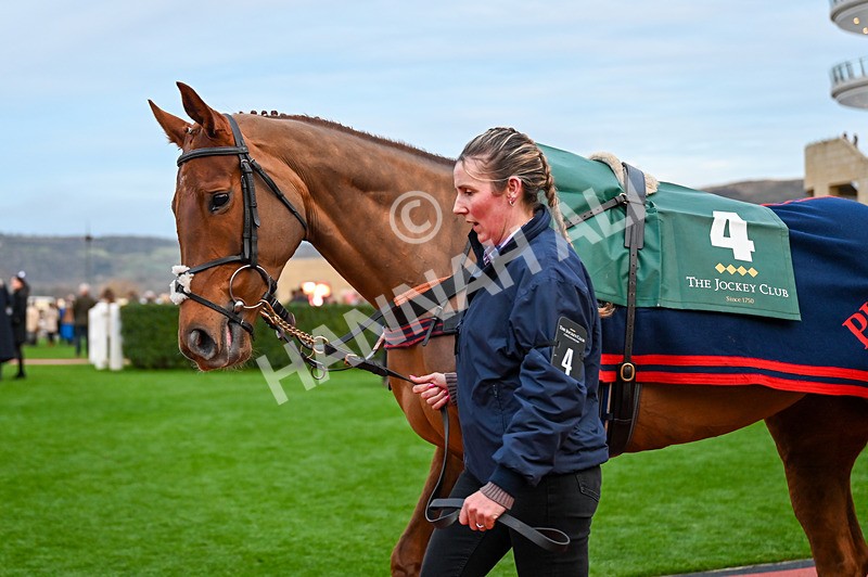 141224-Race 7-Georgi Girl-0946 - Race 7