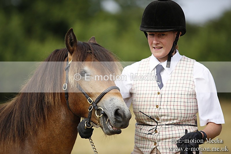 _C7A9231 - BVRC Sow 2018 Ring 2