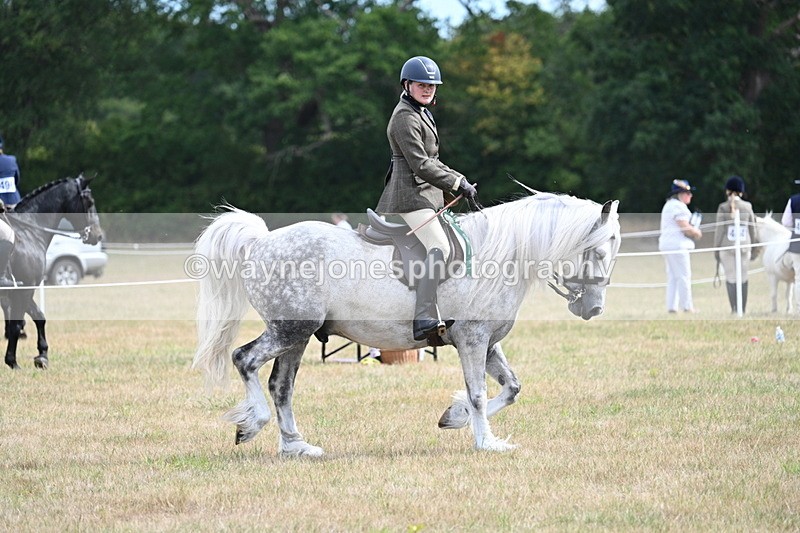 WJ7_5578 - Class 12 Ridden Cob