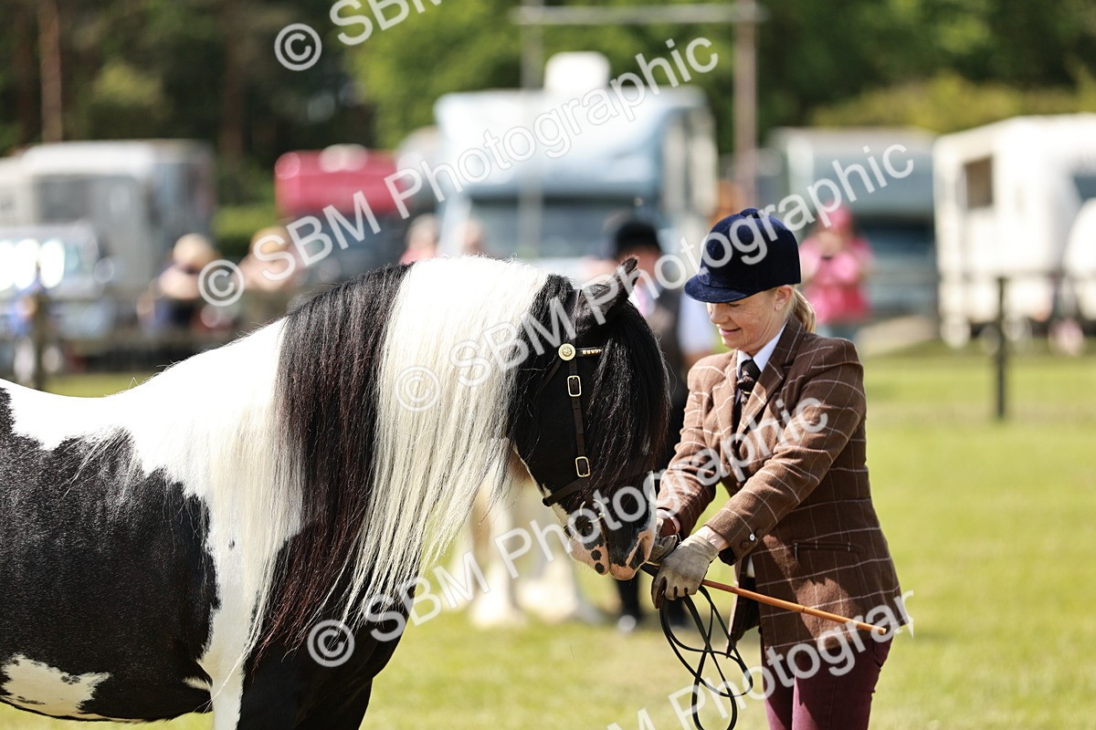 SBM_04237 - Class 39-40 - BSPA Coloured In Hand