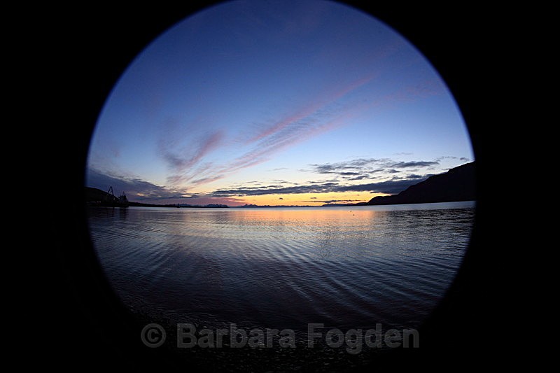 Summer 36 - Latest Photos