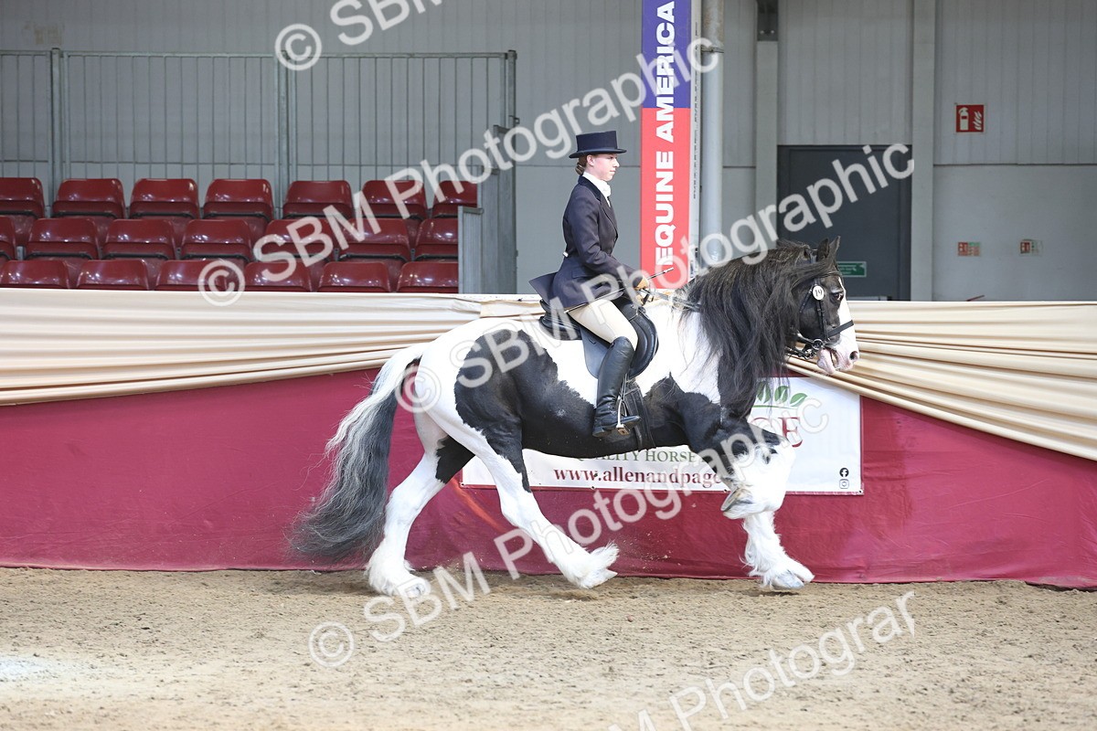 SBM_23752 - class 906 - Supreme Final - Ridden Pre Vet