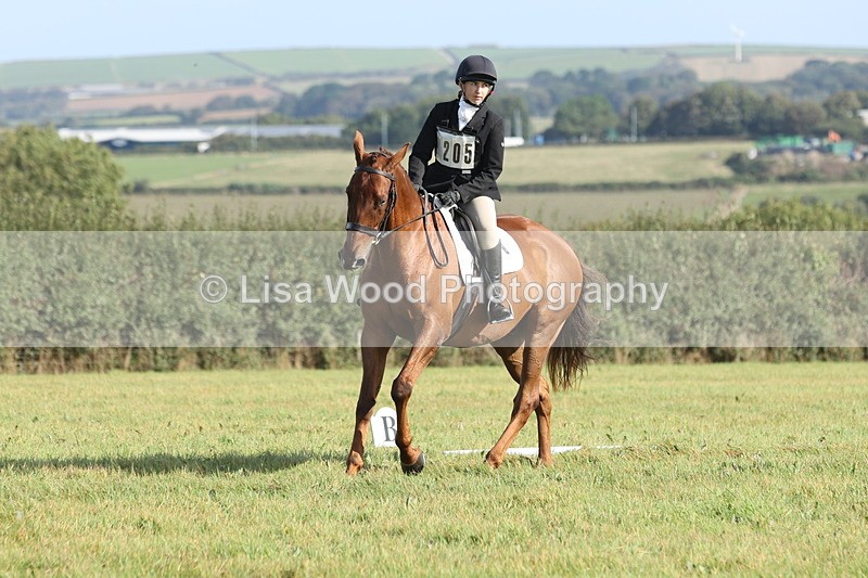 JPP_8035 - Class 2A: Trekenning Open: Dressage