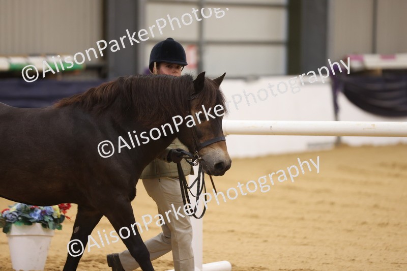 20260913-1101 - Class 110 - Bred In Other In Hand