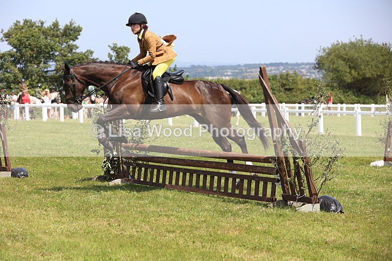 JPP_3053 - Class 22: Working Hunter 70cm