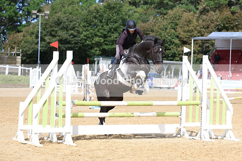 3E7A9236 - Class 9: Senior British Novice/90cm open
