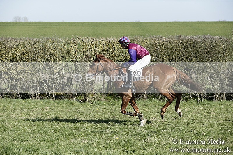 PtP 250317 180 - V.W.H. Hunt Point-to-Point Siddington 25/03/17