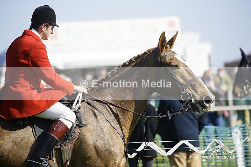PtP 190322 452 - Wilton Hunt PtP Milborne St Andrew 19/03/22