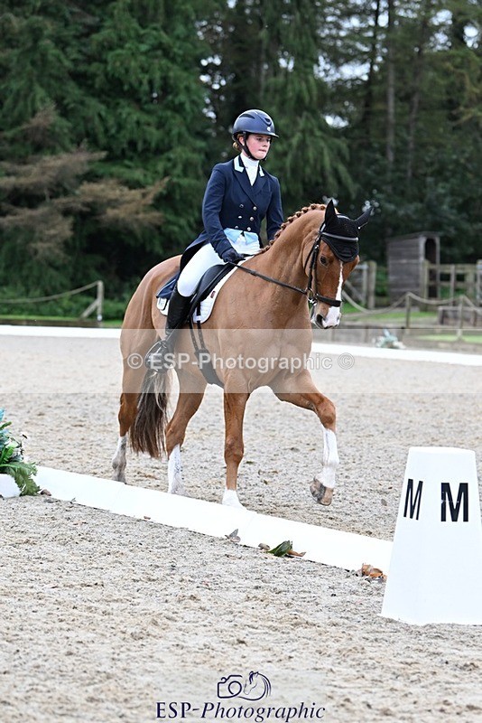 231019-130329-02919 - 049-AUGUSTUS.IMPERIOUS-Ines.Mitchell-DR