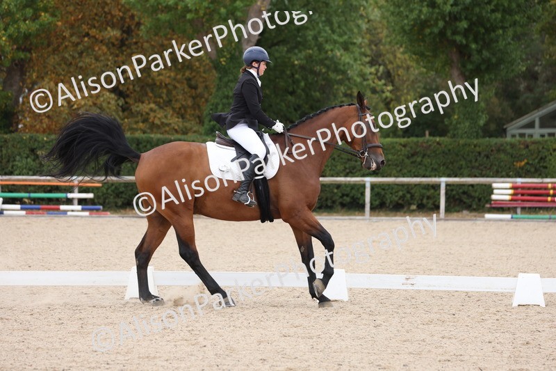 20250819-1277 - Class 4 - Novice 2