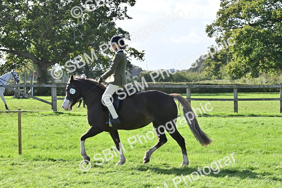 SBM_50249 - S21 - Novice & Newcomers First Ridden