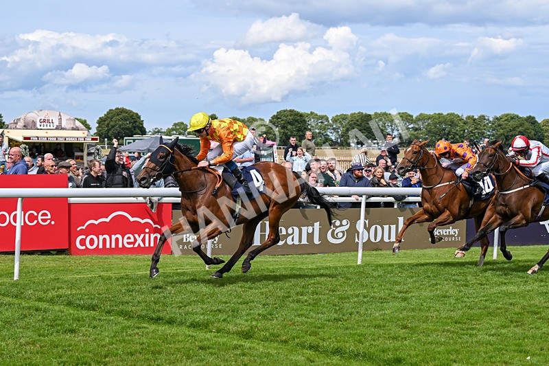 060724-Race 3-Persian Blue-3789 - Race 3