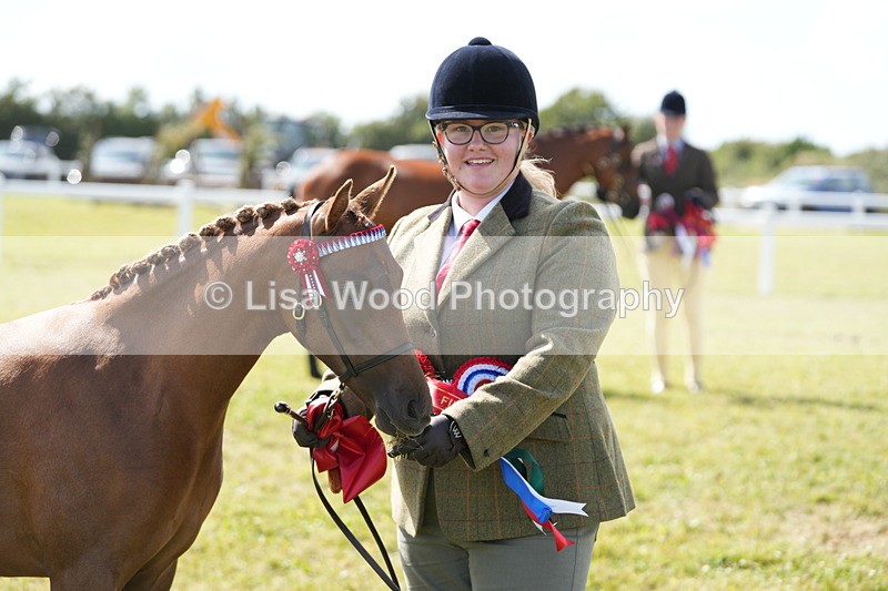 DSC07517 - Pony Breeding Championship