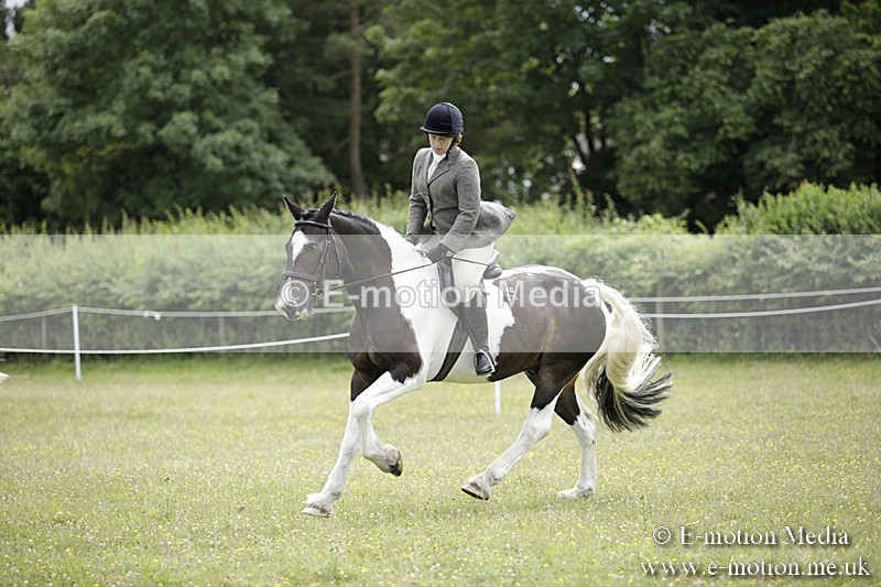 BVR160717-1893 - Ring 1 BVRC Show 16/07/17