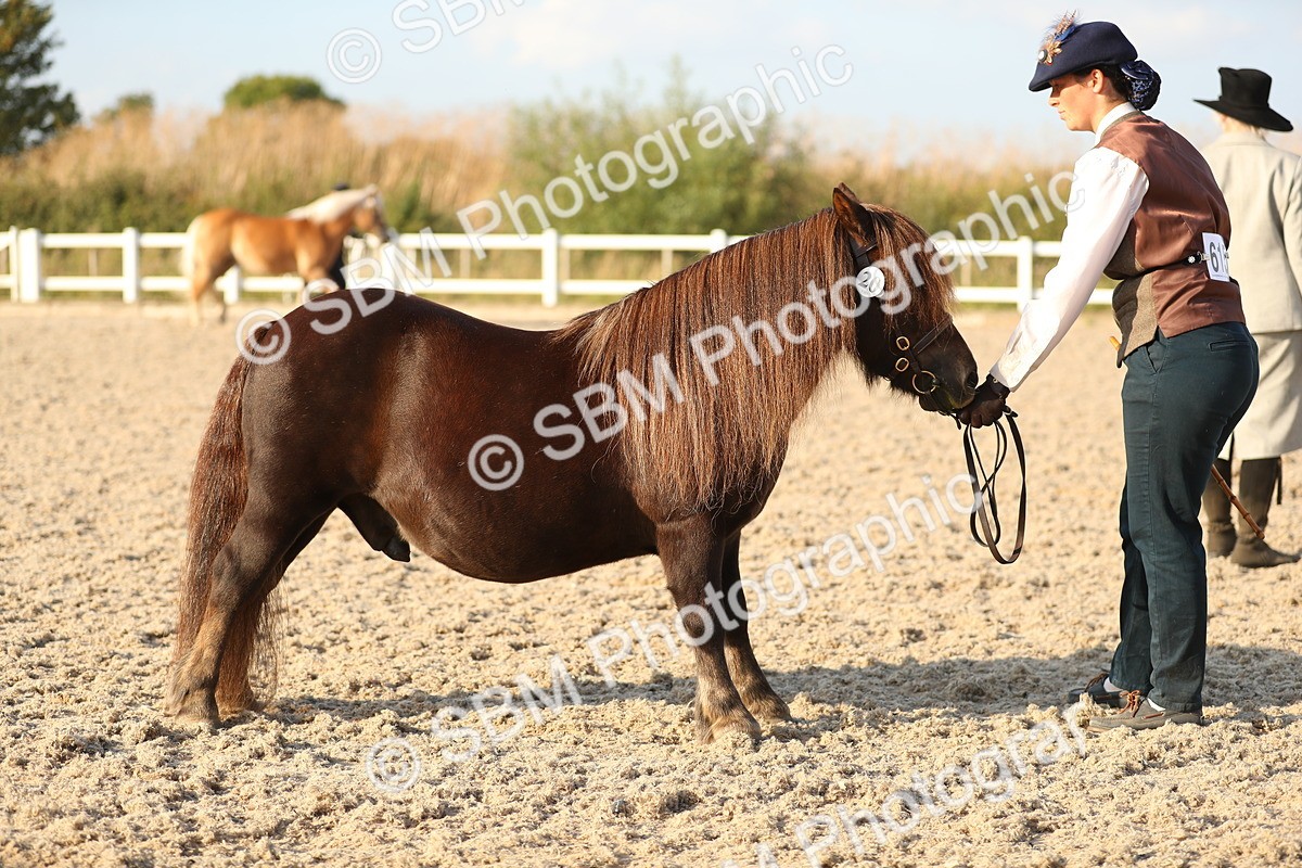 SBM_09051 - Class 29 IH Veteran Pony