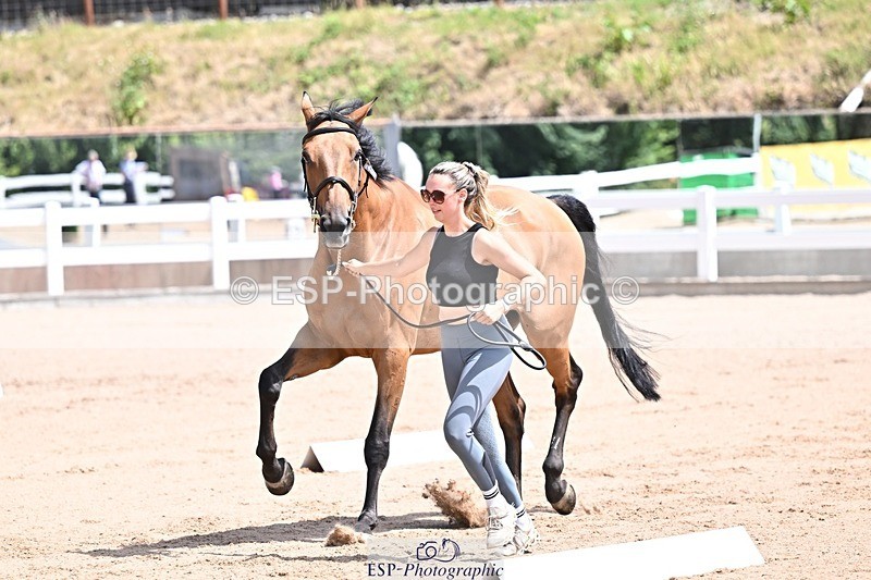 250716-124601-00154 - Trot Up 12.30 to 1.30