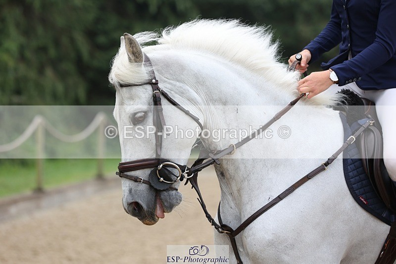 230618-092535-09631 - Cls 19 Pony Intro 1m