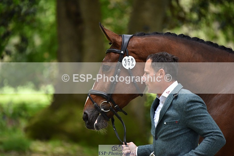 240522-150056-00043 - 352-SHANNONDALE_ALDO-Alexander_Bragg