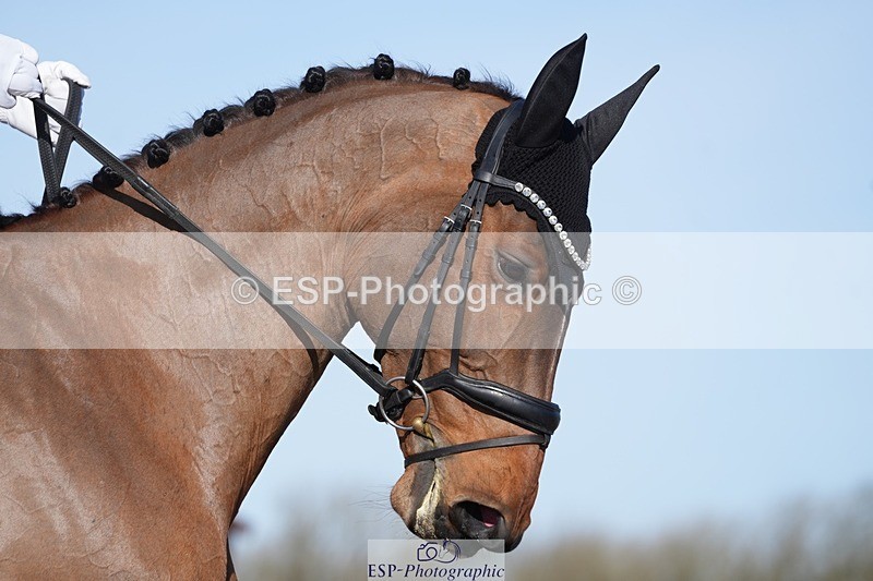 260214-120040-03798 - 004-Joe.Roome