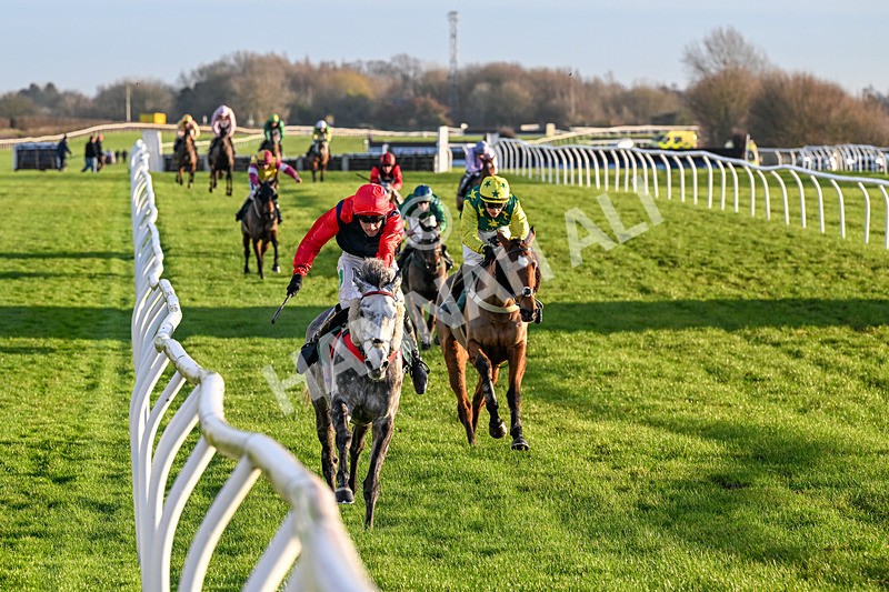 161225-Race 5-Somebodycomegether-8862 - Race 5