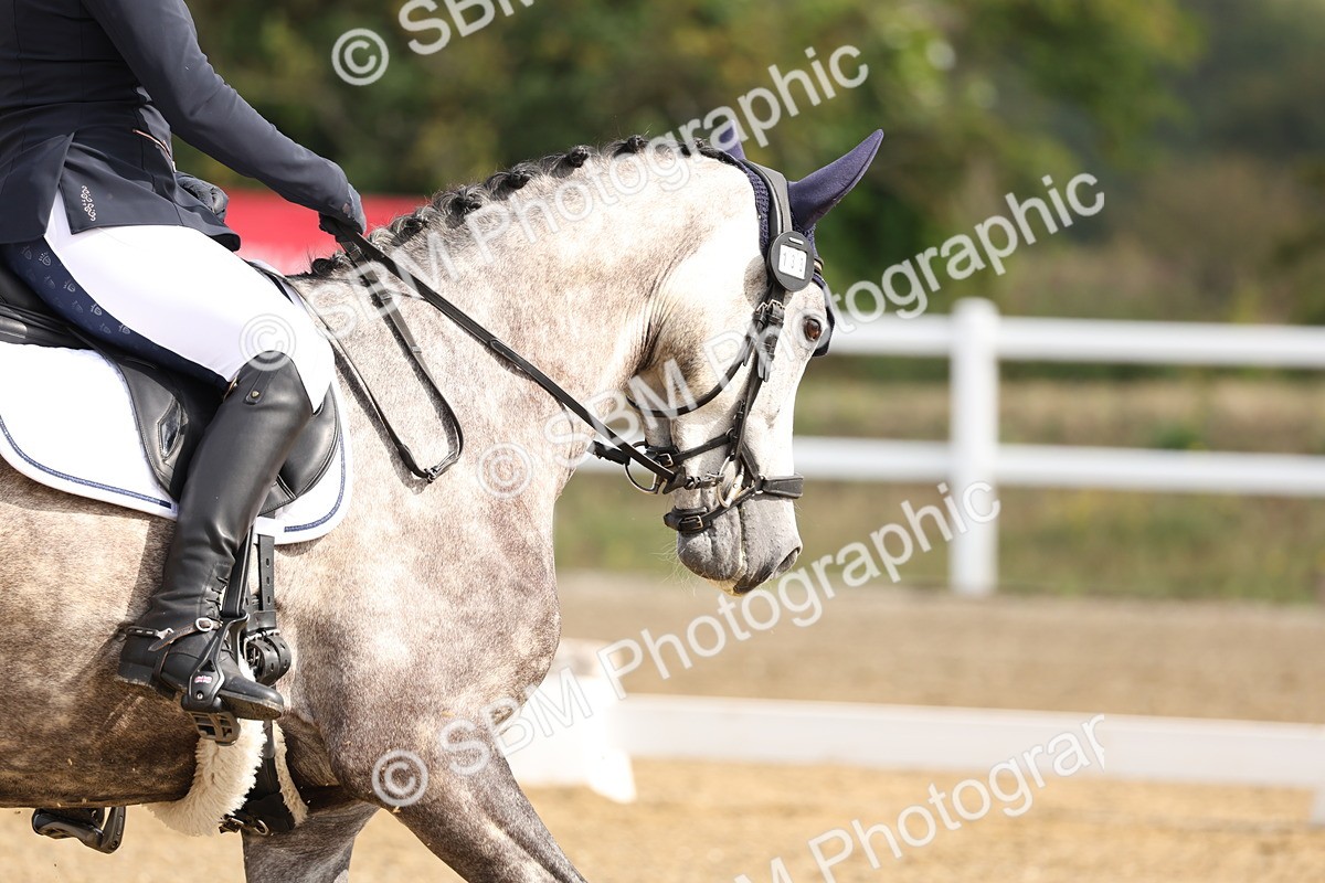 SBM_005533 - Class 6 - Novice 6 - 9.30-10.12