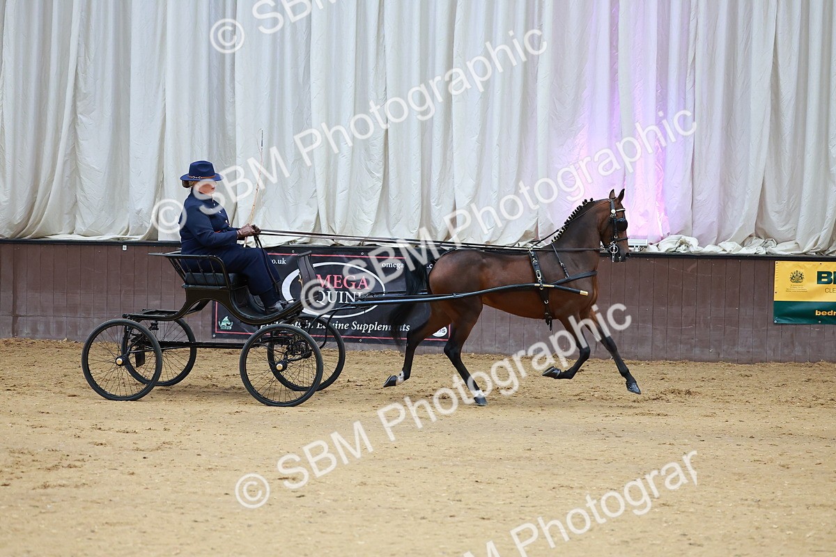 SBM_000618 - Class 9 - HHS Championship Intl Hackney Pony to a Showwagon