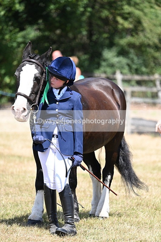 WJ7_2268 - Class 5 Most Handsome Gelding (up to 14.2hh) in hand