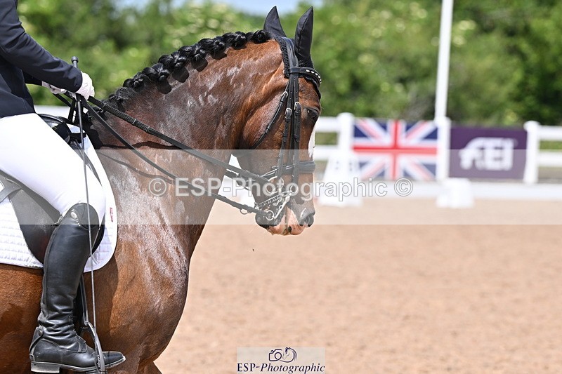 240622A-124854-10263 - Cls 30 BD Elementary 53