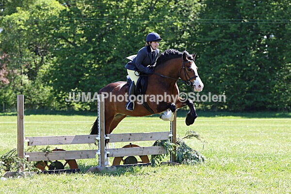 IMG_4075 - Working Hunter