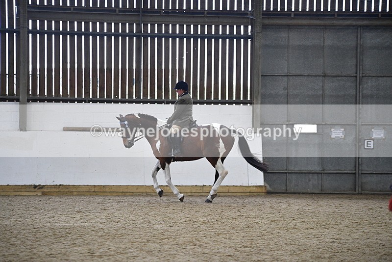 WJ5_6056 - Class 9 Ridden Veteran