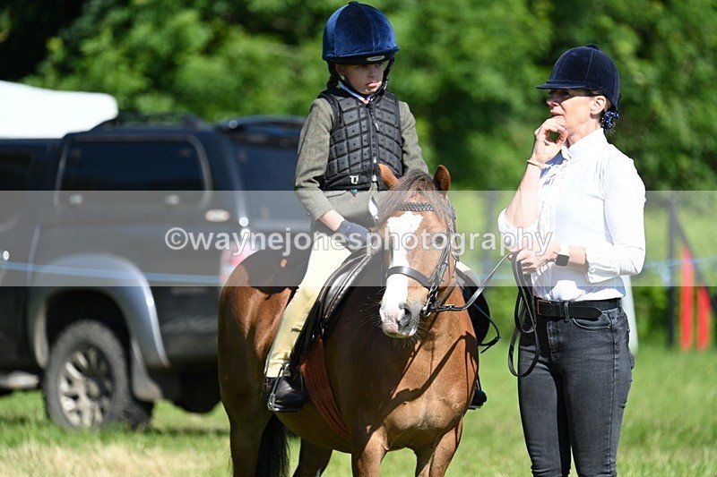WJ7_0411 - Class 8 First Rally Pony