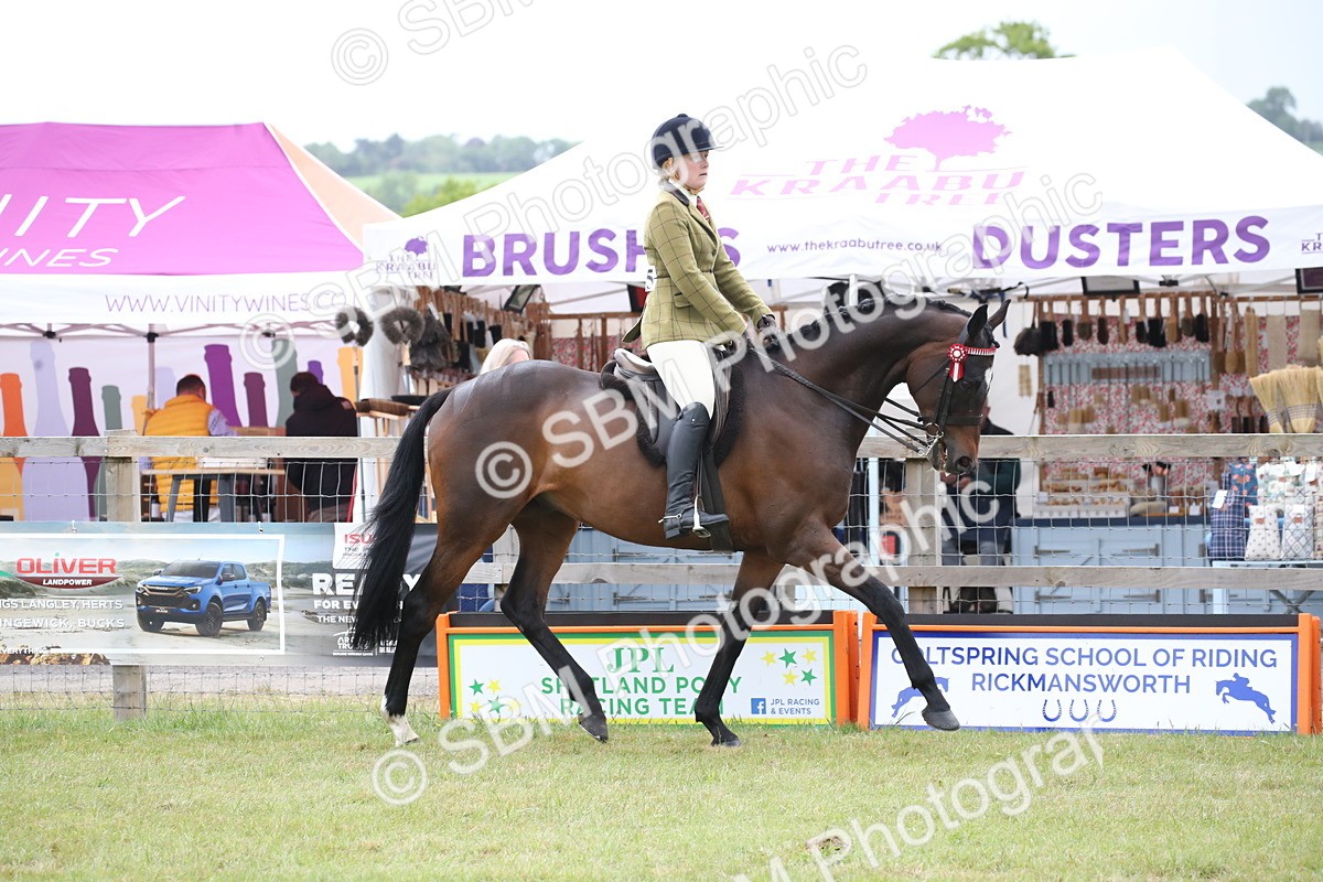 SBM_11413 - Class 94 - LIHS BSHA Racehorse to Showhorse