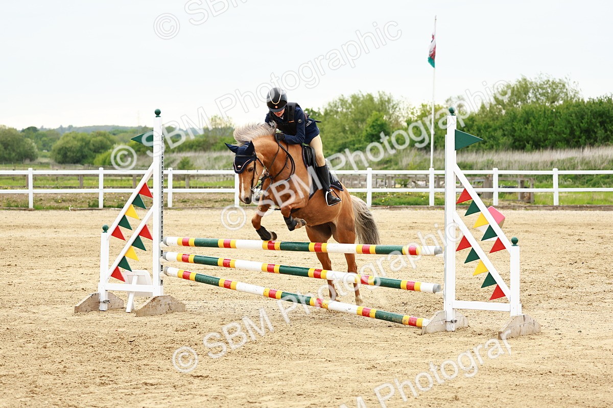 SBM_009110 - Class 5 - 80cm