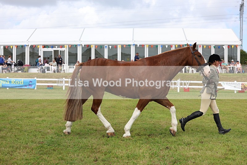 3E7A0386 - Class 6: Rising Star Maxi Cobs