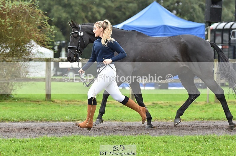 231018-123958-00433 - 053-WISHING.TIME-Holly.Law-TrotUp