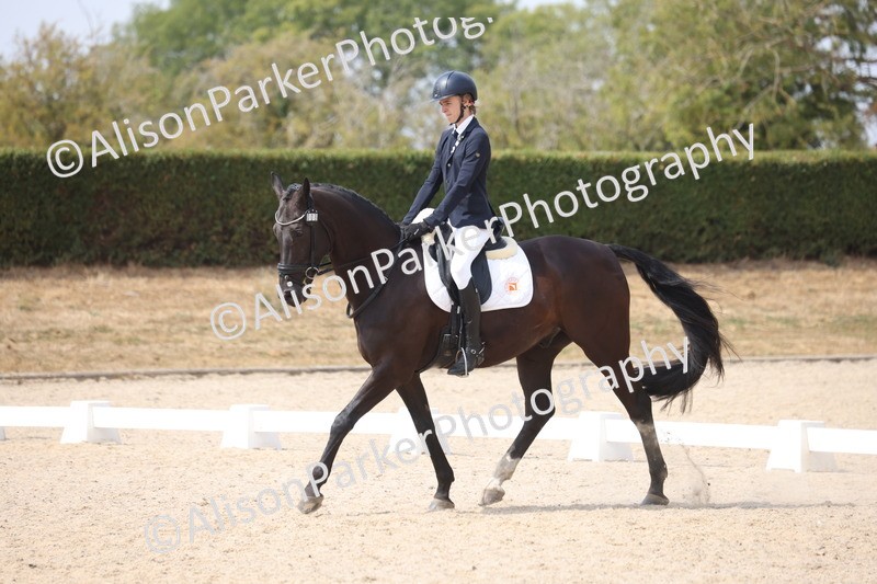 20260816-1076 - Class 4 - Novice 6