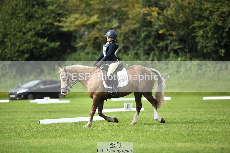 230826-102411-15465 - Sections C & D 10 to End