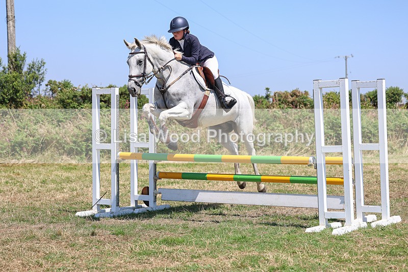 3E7A4389 - Class 10: Senior British Novice/90cm open