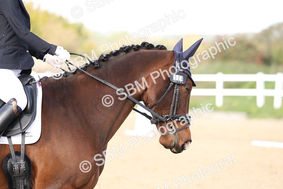 SBM_001410 - Class 3 - Novice 4