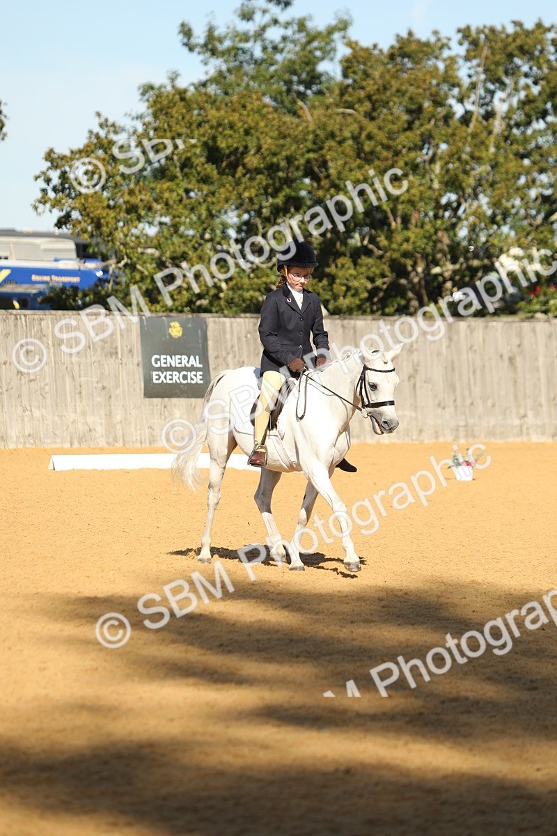 SBM_37978 - D21 - Junior Championship - Intro A