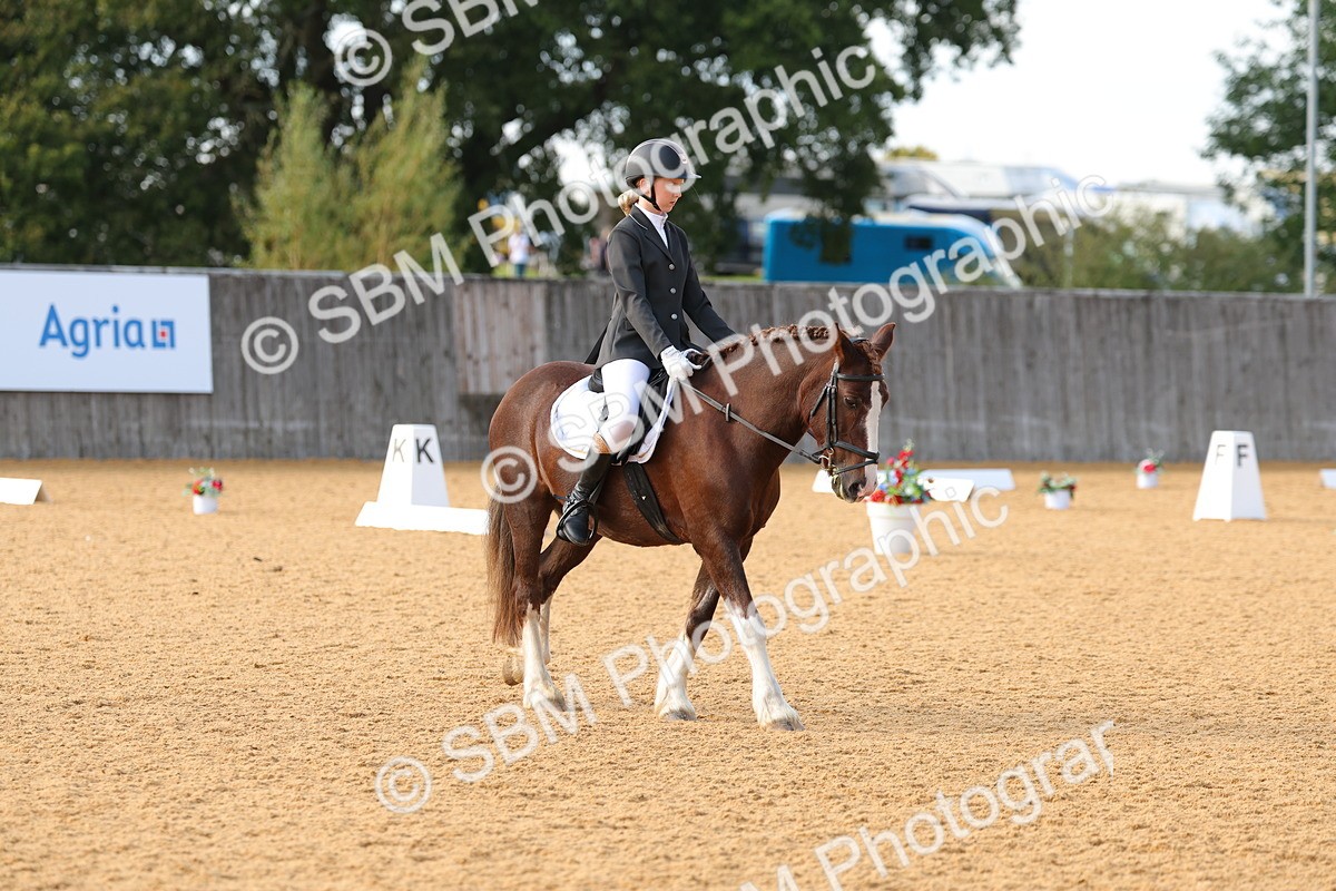SBM_49646 - D22 - Junior Championship - Intro B