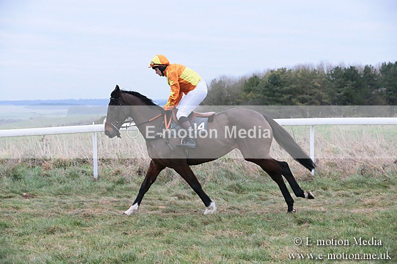 PtP 060119 521 - Larkhill Racing Club - Point-to-Point- 06/01/2019