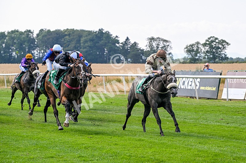 160726-Race 3-Angel Numbers-4450 - Race 3 15.03pm Sell Your Business With Anderson Barrowcliff Handicap