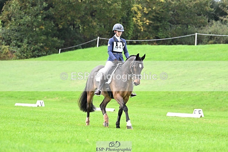 241025-092912-05798 - 441-Molly.Swain-SOCKS