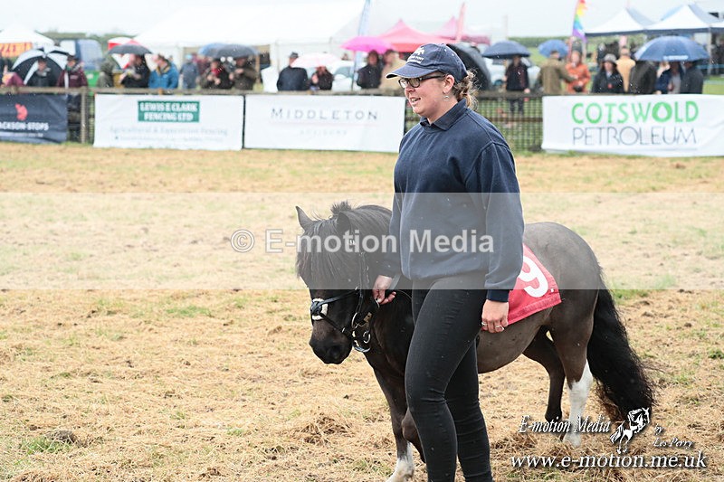 SHETPR 210425 12 - Shetland Ponies Paxford Races 21/04/25