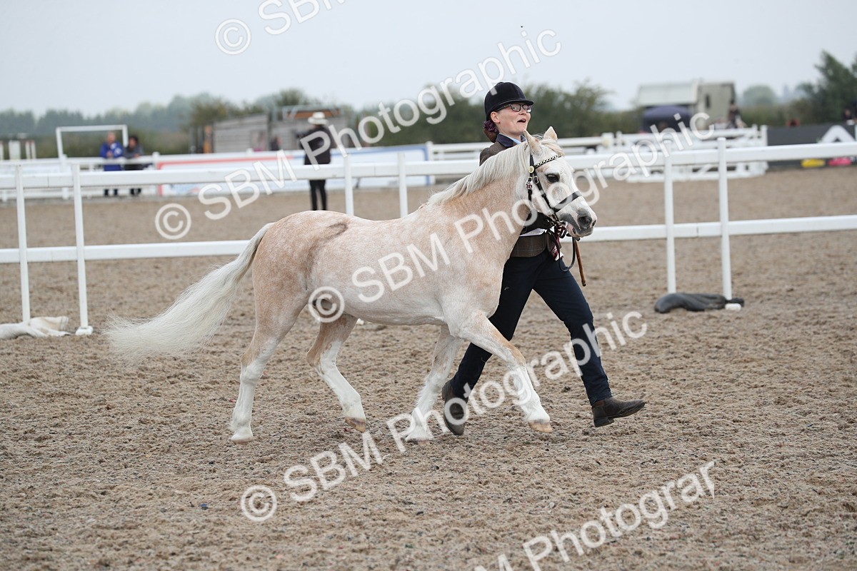 SBM_22603 - Class 604 - 2025 Area - IH Diamond