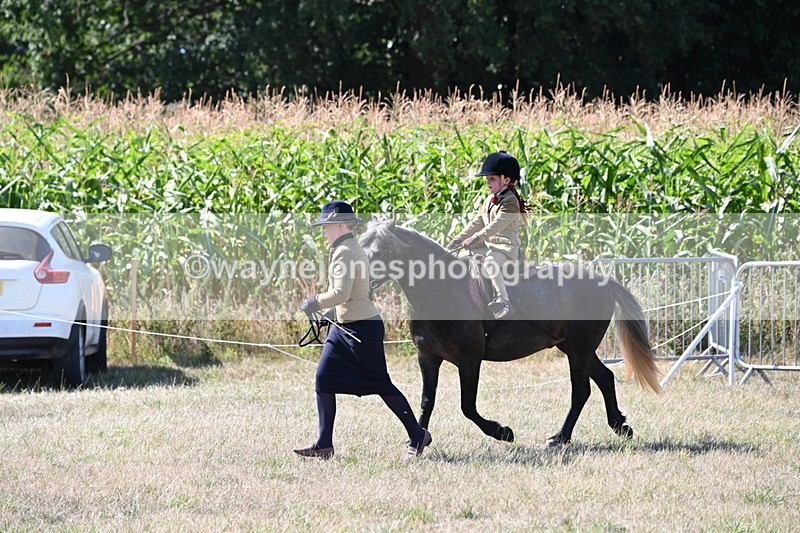 WJ6_7969 - Class 36 Lead Rein