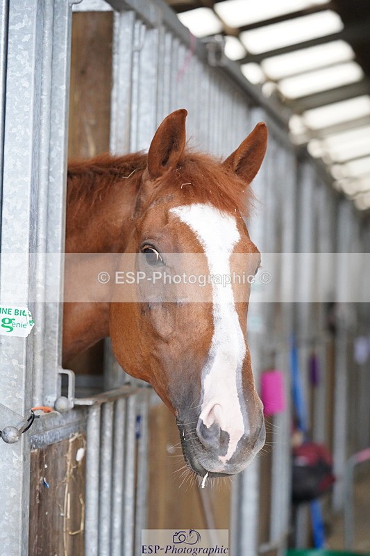 240809A-134644-01016 - Stable Shots