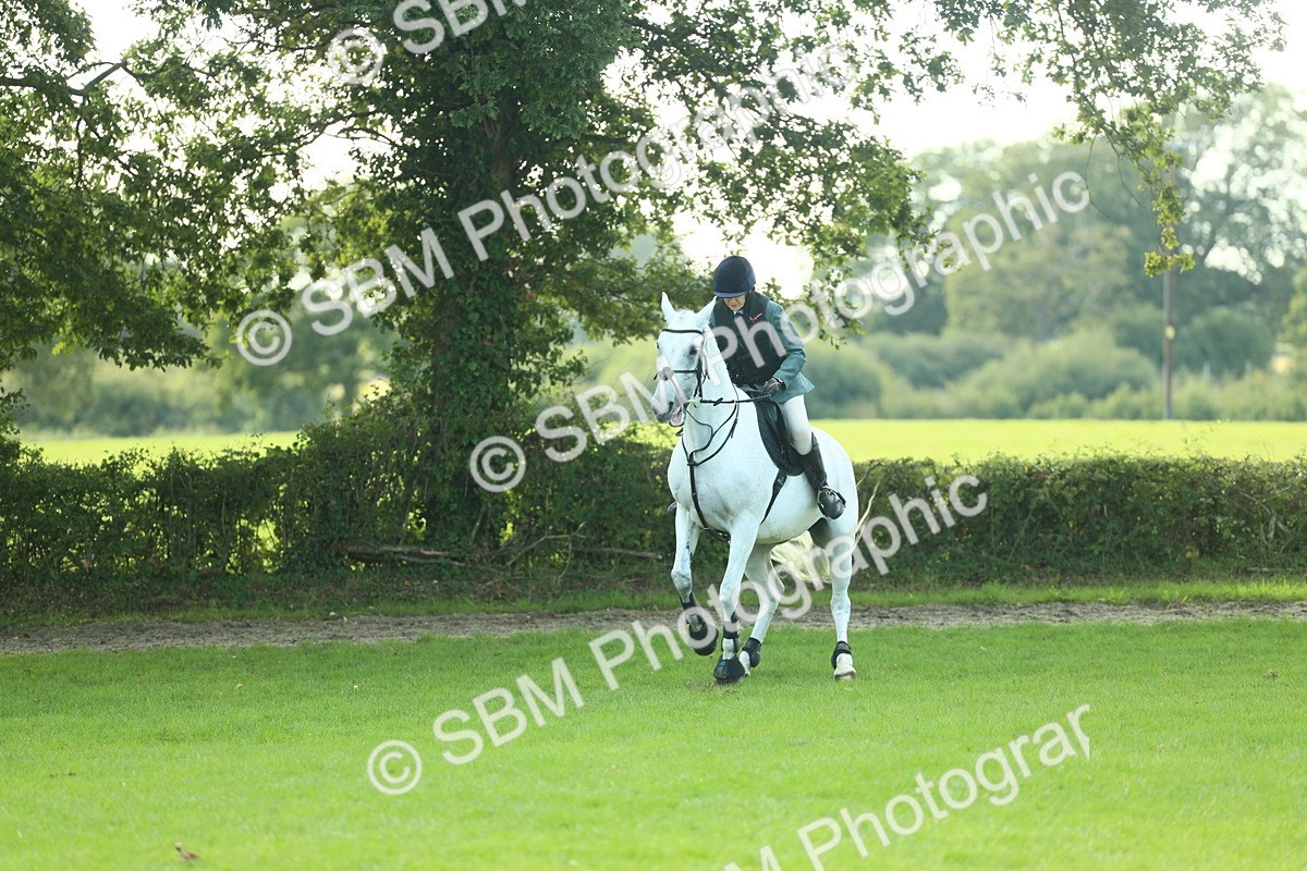 SBM_50582 - S33 - Working Hunter & Working Show Horse